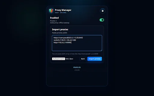 Proxy Manager ڈاؤن لوڈ کریں – براؤزر پراکسی کا آسان انتظام - Screenshot 3