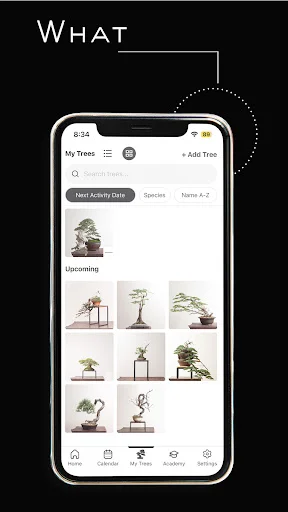 Mirai Mobile ڈاؤن لوڈ کریں – بونسائی کی ماہرانہ رہنمائی - Screenshot 8