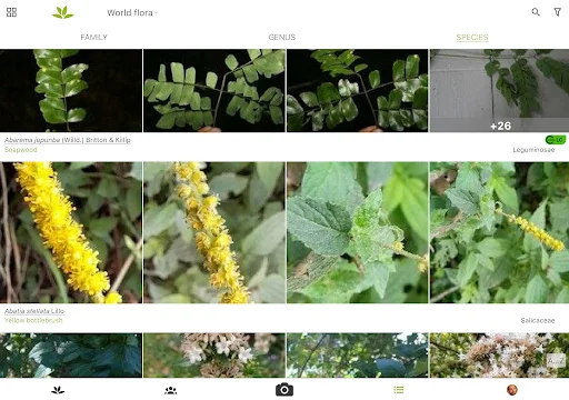 PlantNet Plant Identification ڈاؤن لوڈ کریں – پودوں کی شناخت اب آسان - Screenshot 11