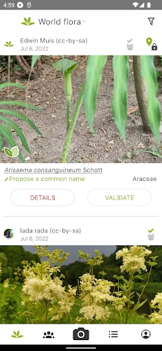 PlantNet Plant Identification ڈاؤن لوڈ کریں – پودوں کی شناخت اب آسان - Screenshot 4