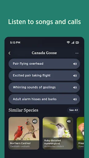 Audubon Bird Guide ڈاؤن لوڈ کریں – پرندوں کی شناخت کے لیے بہترین ایپ - Screenshot 4