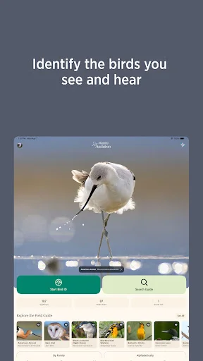 Audubon Bird Guide ڈاؤن لوڈ کریں – پرندوں کی شناخت کے لیے بہترین ایپ - Screenshot 8