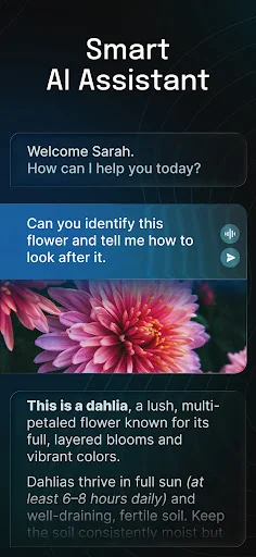 AI Chatbot – Nova ڈاؤن لوڈ کریں – جدید ترین AI ماڈل مفت - Screenshot 2