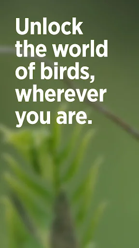 Audubon Bird Guide ڈاؤن لوڈ کریں – پرندوں کی شناخت کے لیے بہترین ایپ - Screenshot 1