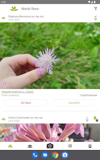 PlantNet Plant Identification ڈاؤن لوڈ کریں – پودوں کی شناخت اب آسان - Screenshot 8