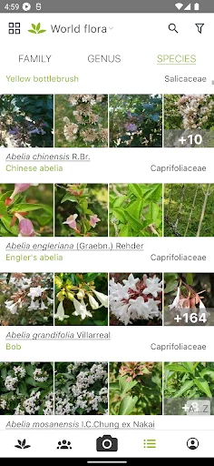 PlantNet Plant Identification ڈاؤن لوڈ کریں – پودوں کی شناخت اب آسان - Screenshot 3